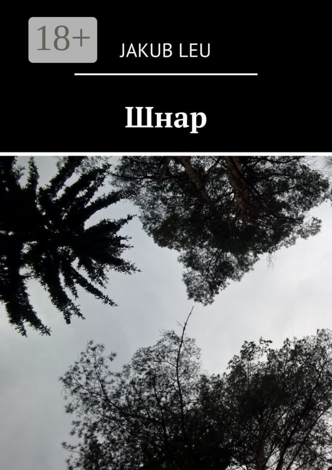 Обложка книги «Шнар»