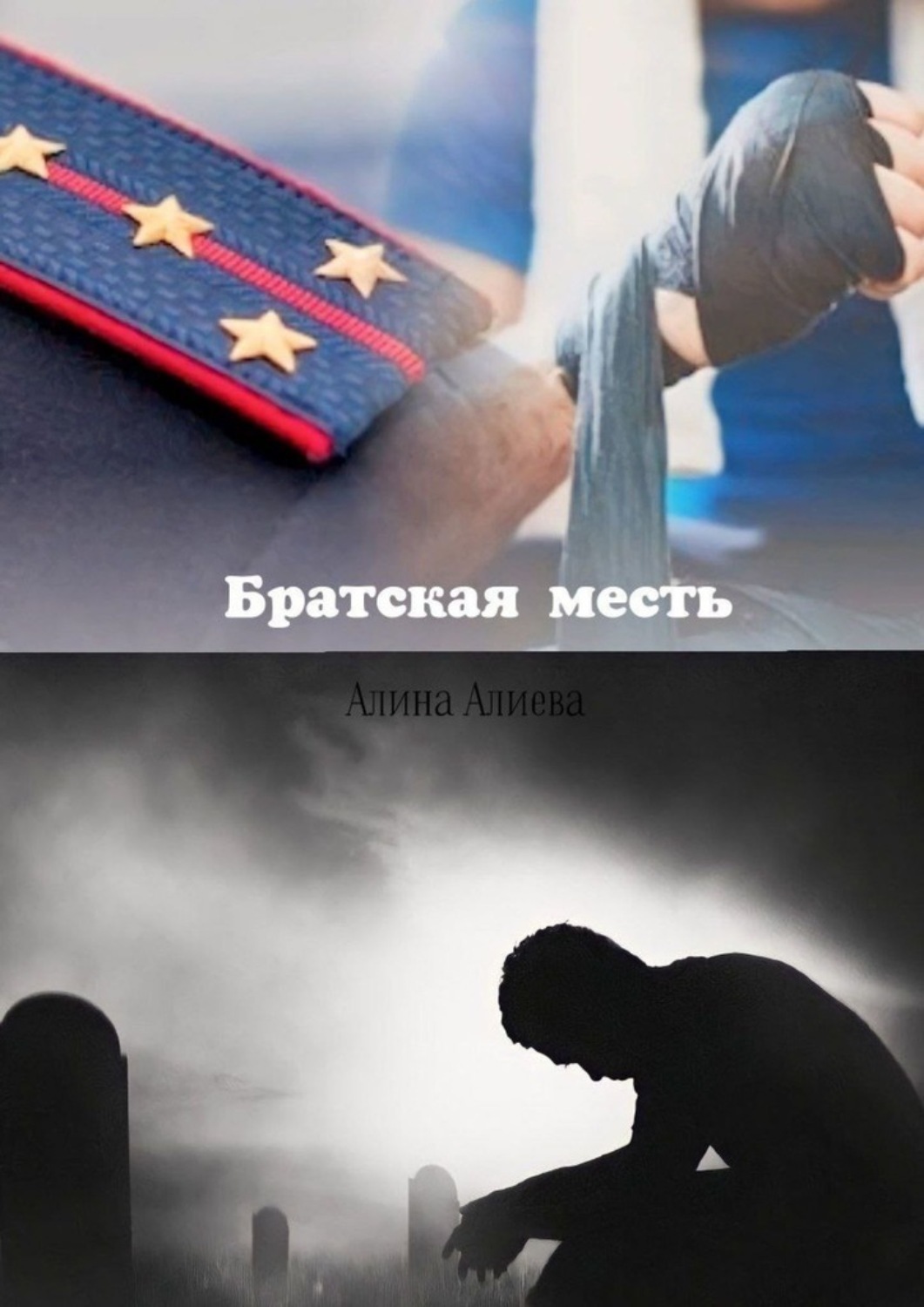 Обложка книги «Братская месть»