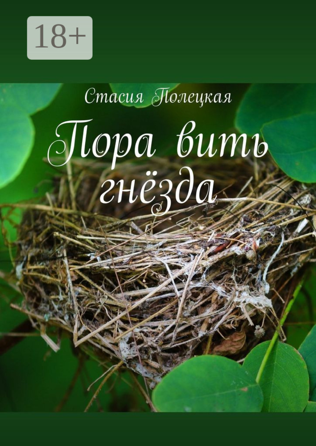 Обложка книги «Пора вить гнёзда»