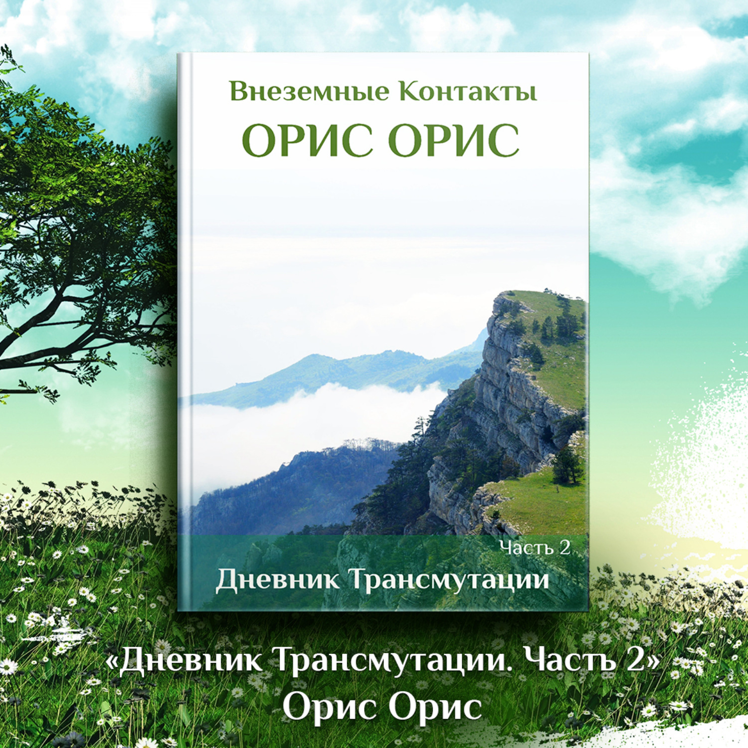 Обложка книги «Дневник Трансмутации. Часть 2»