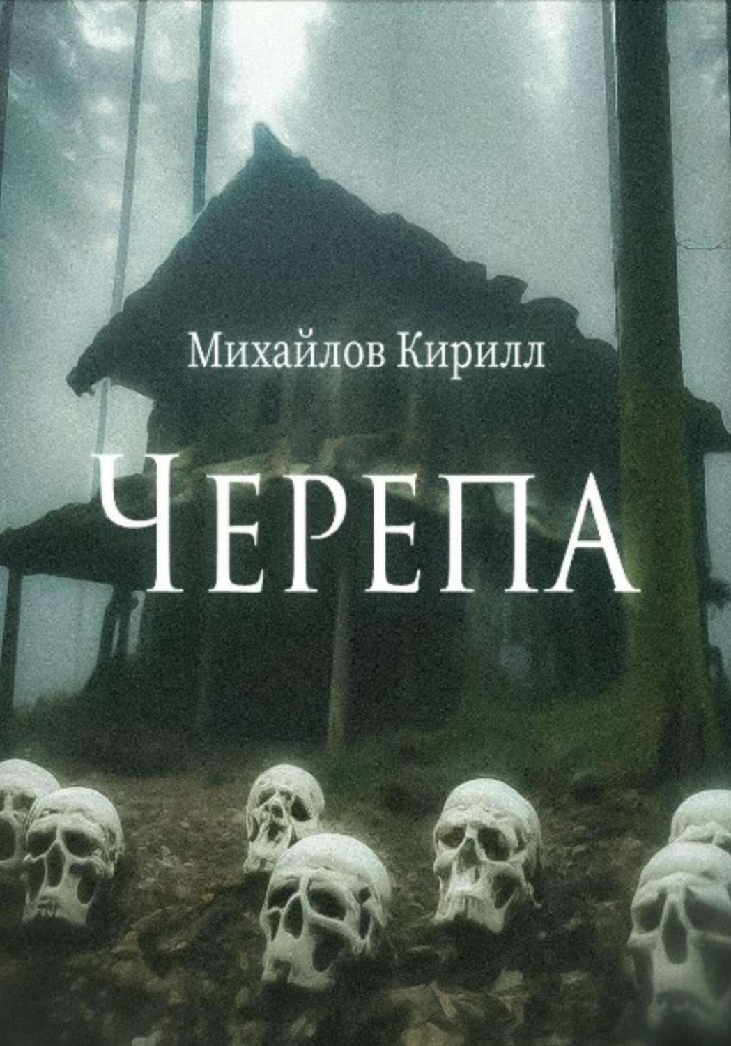 Обложка книги «Черепа»