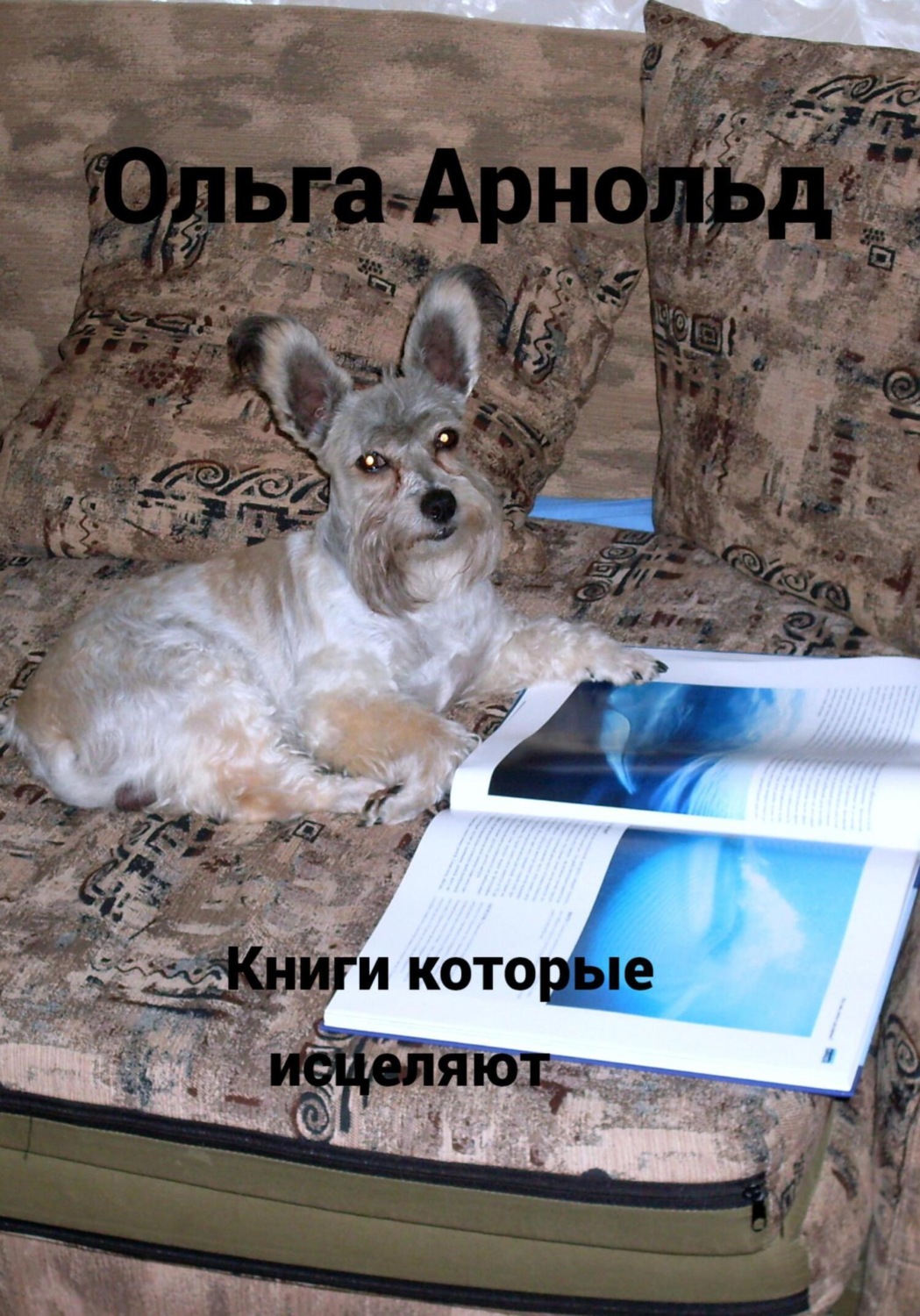 Обложка книги «Книги, которые исцеляют»