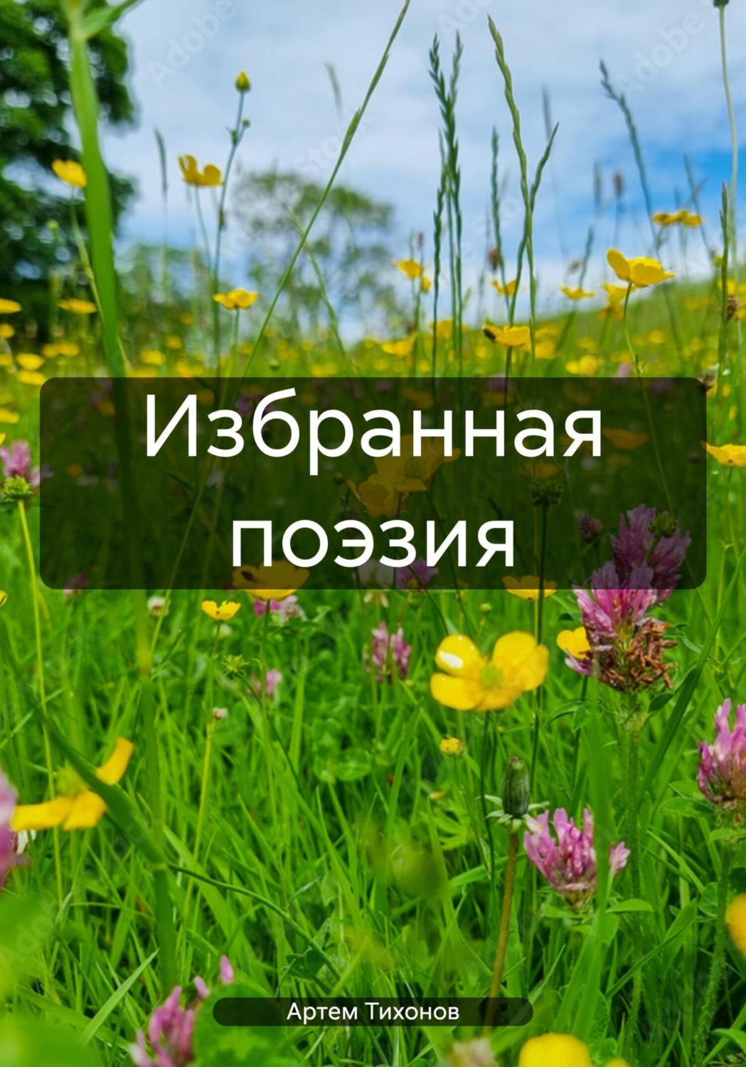 Обложка книги «Избранная поэзия»
