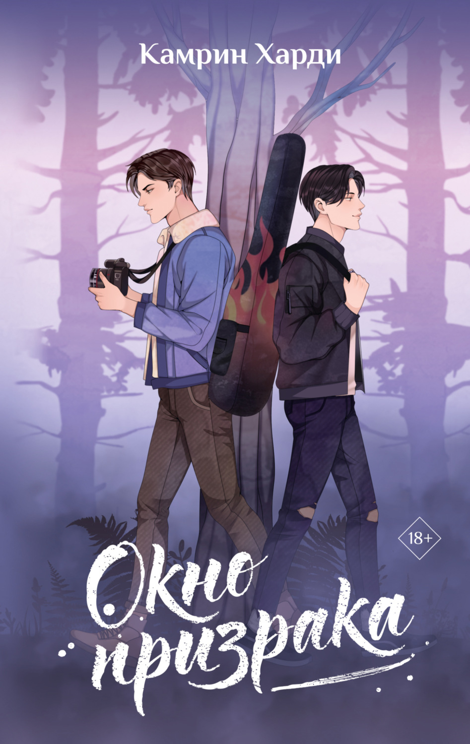 Обложка книги «Окно призрака»