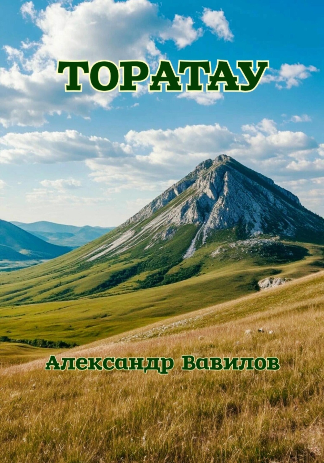 Обложка книги «Торатау»
