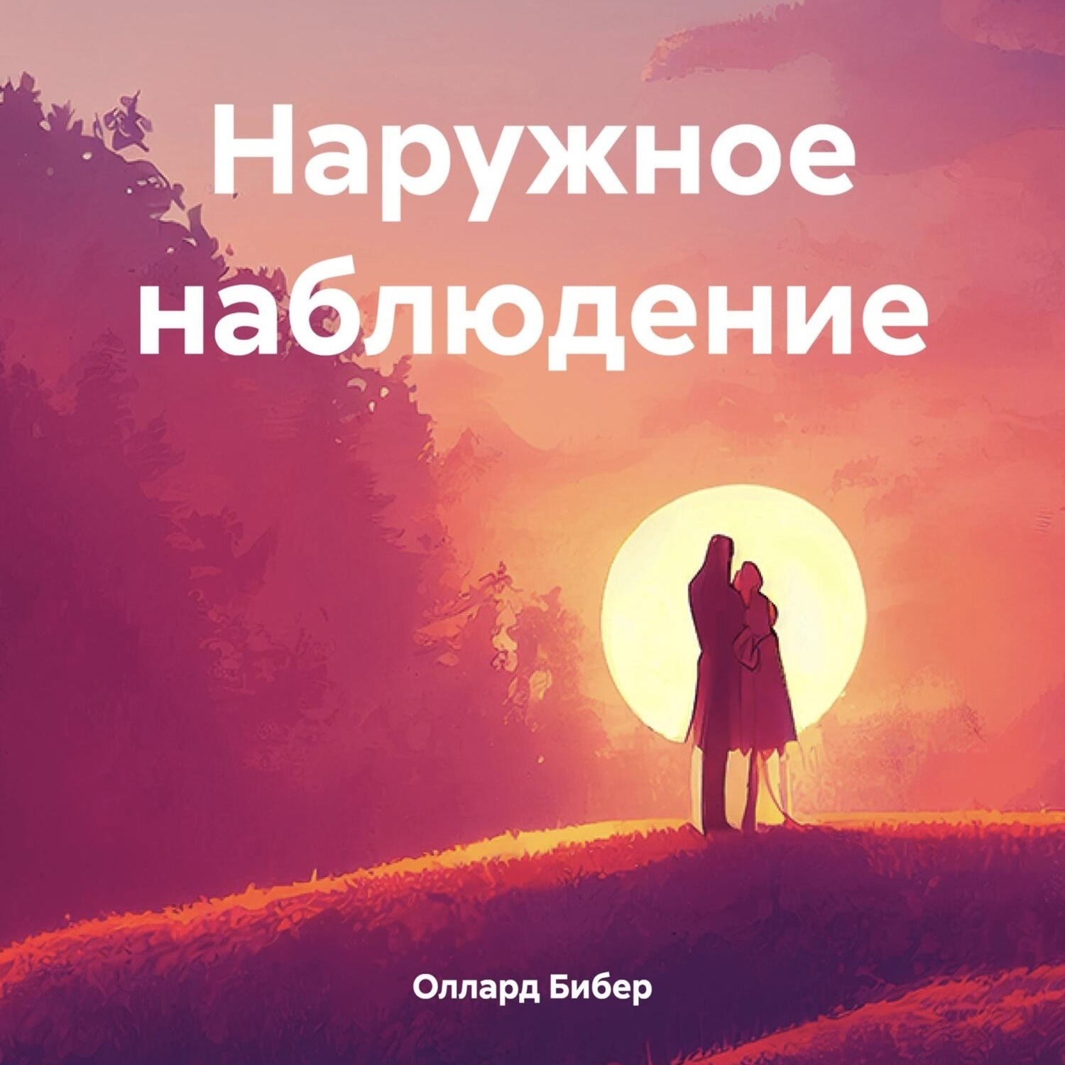 Обложка книги «Наружное наблюдение»