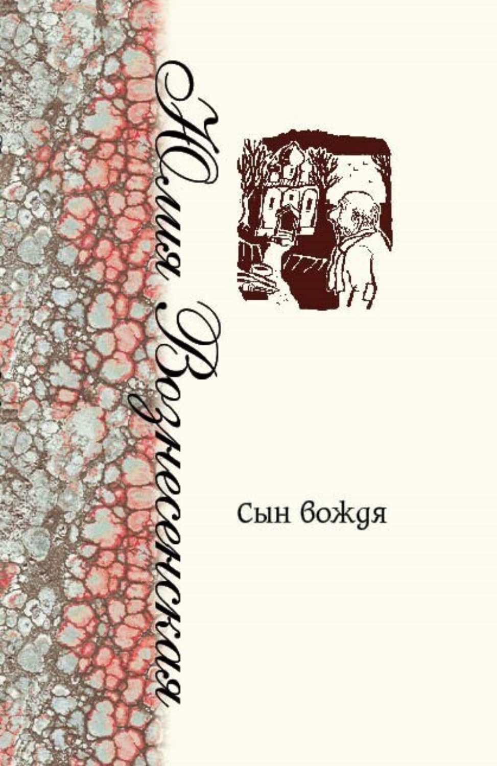 Обложка книги «Сын Вождя»