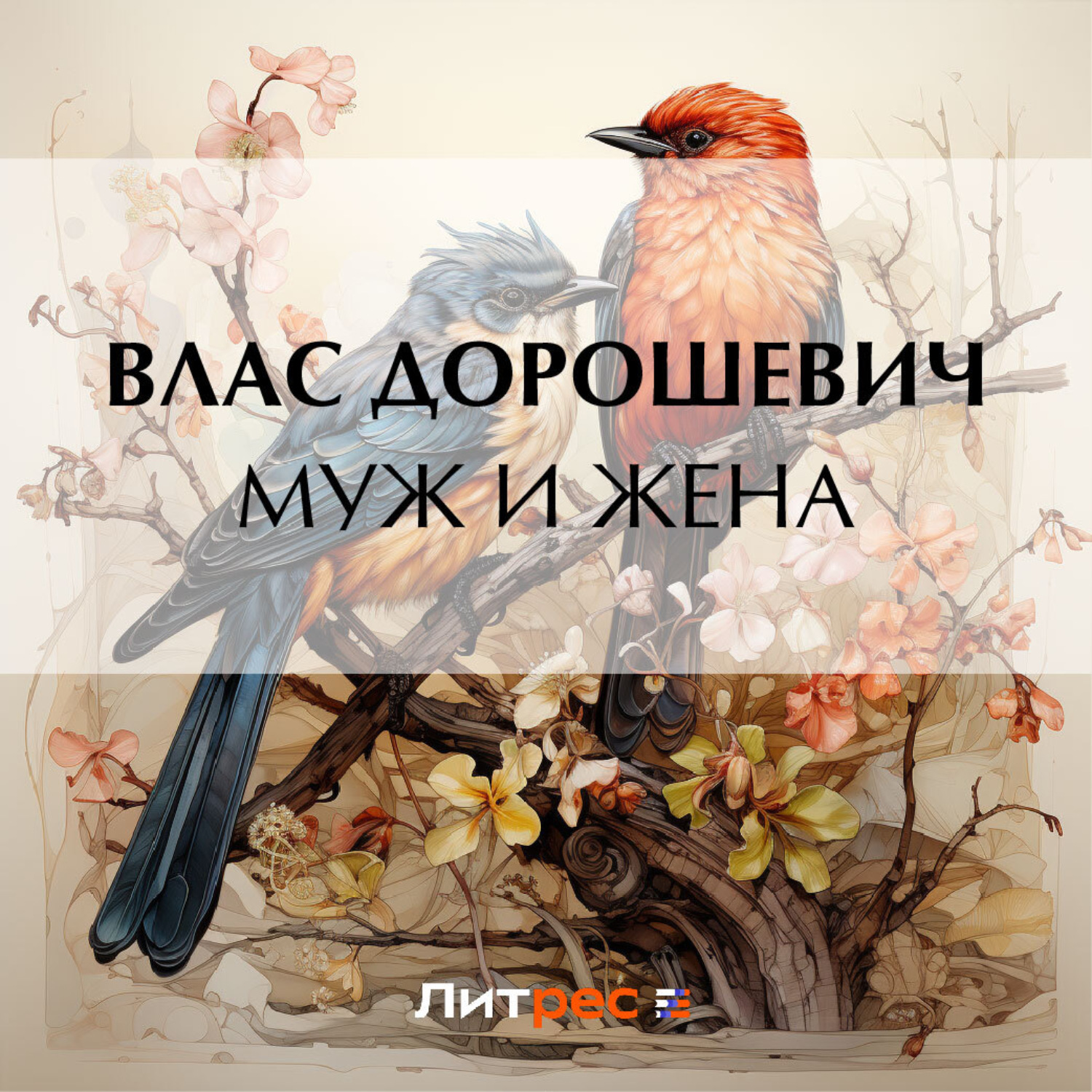 Обложка книги «Муж и жена»