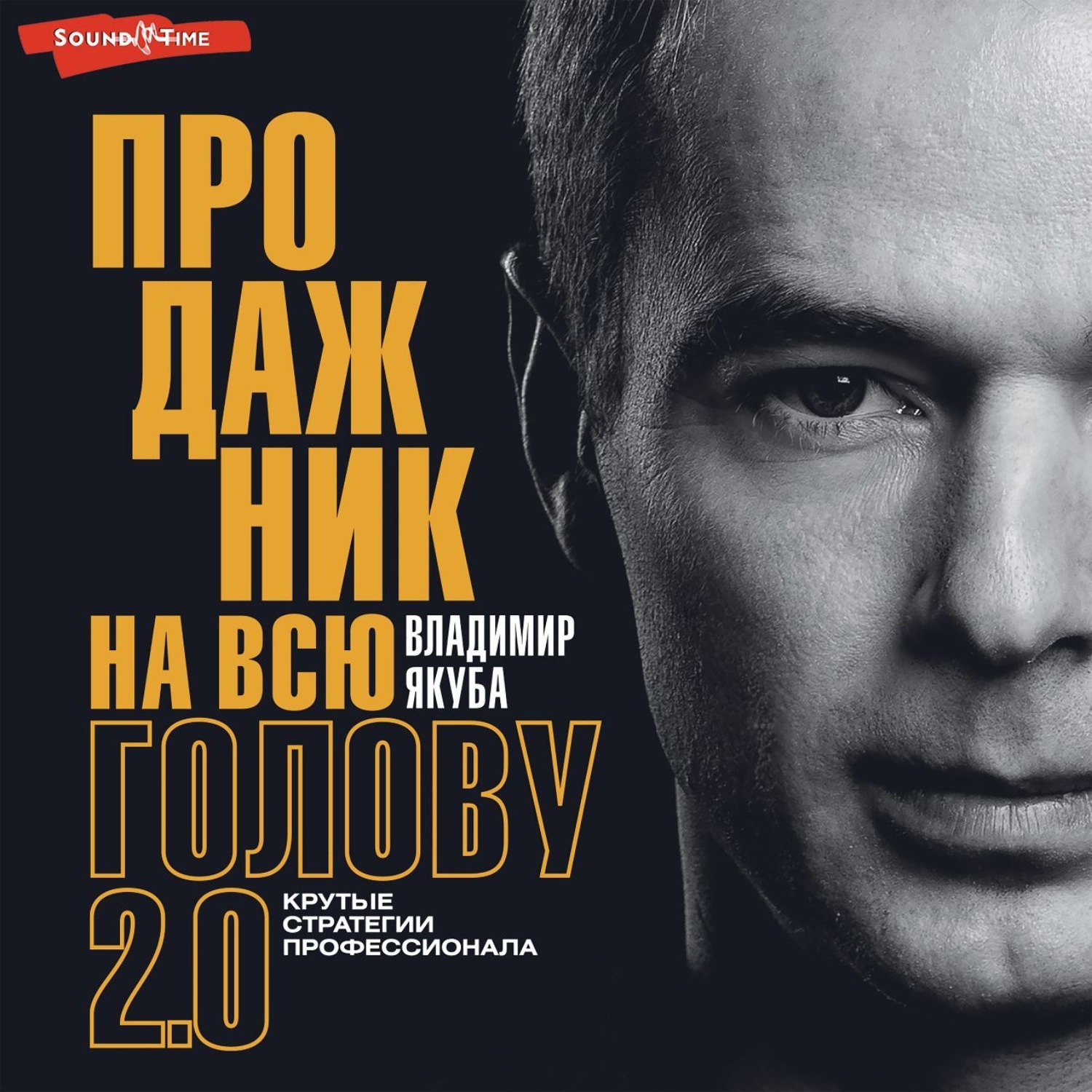 Обложка книги «Продажник на всю голову. Крутые стратегии профессионала 2.0»