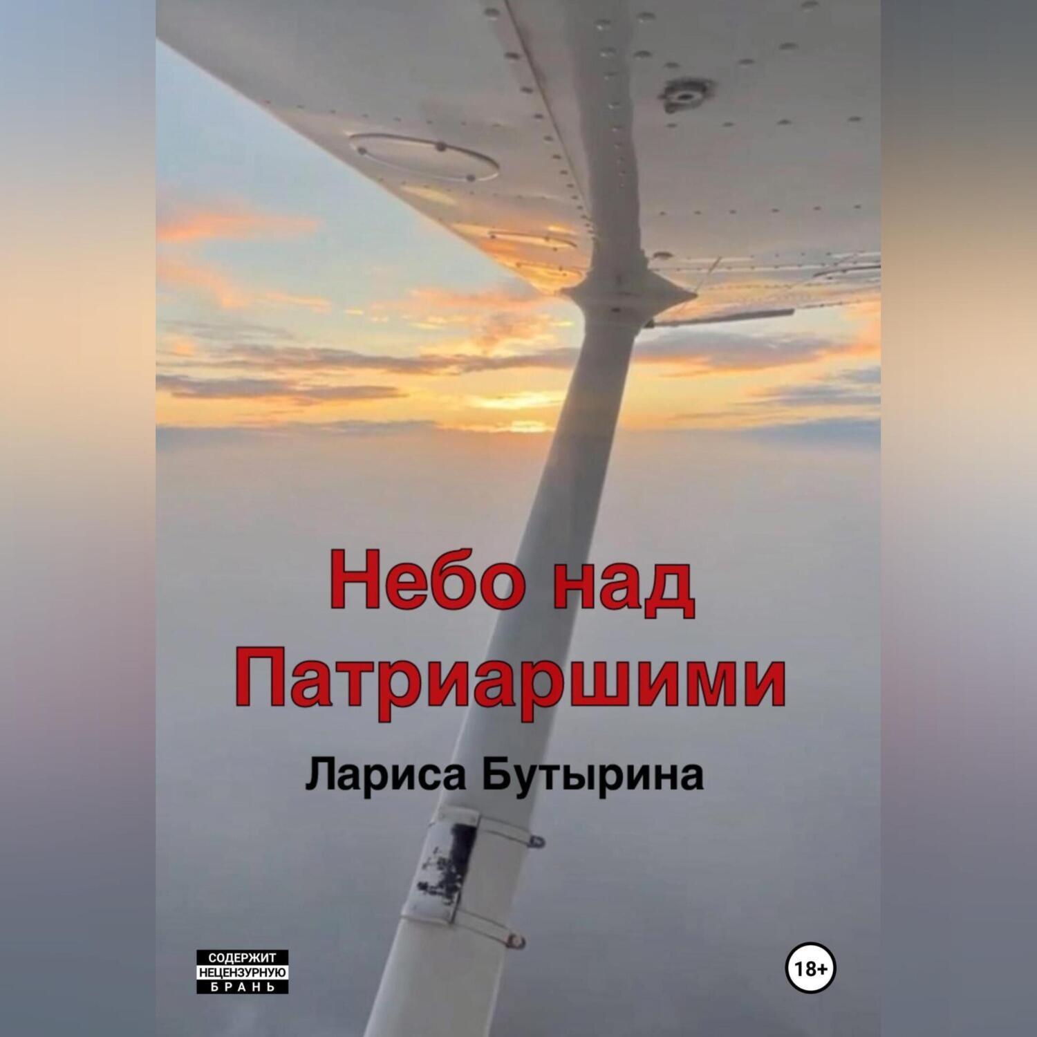 Обложка книги «Небо над Патриаршими»