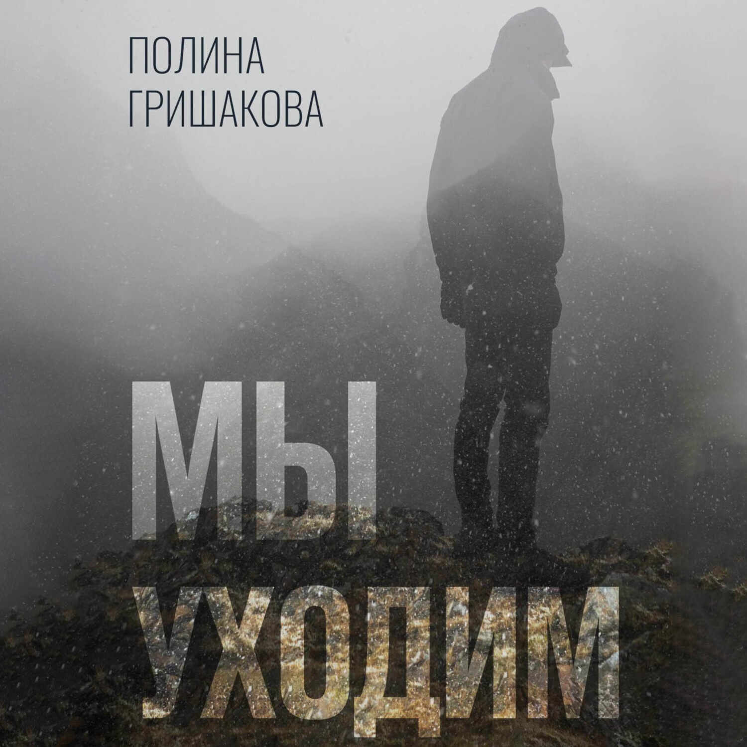 Обложка книги «Мы уходим»
