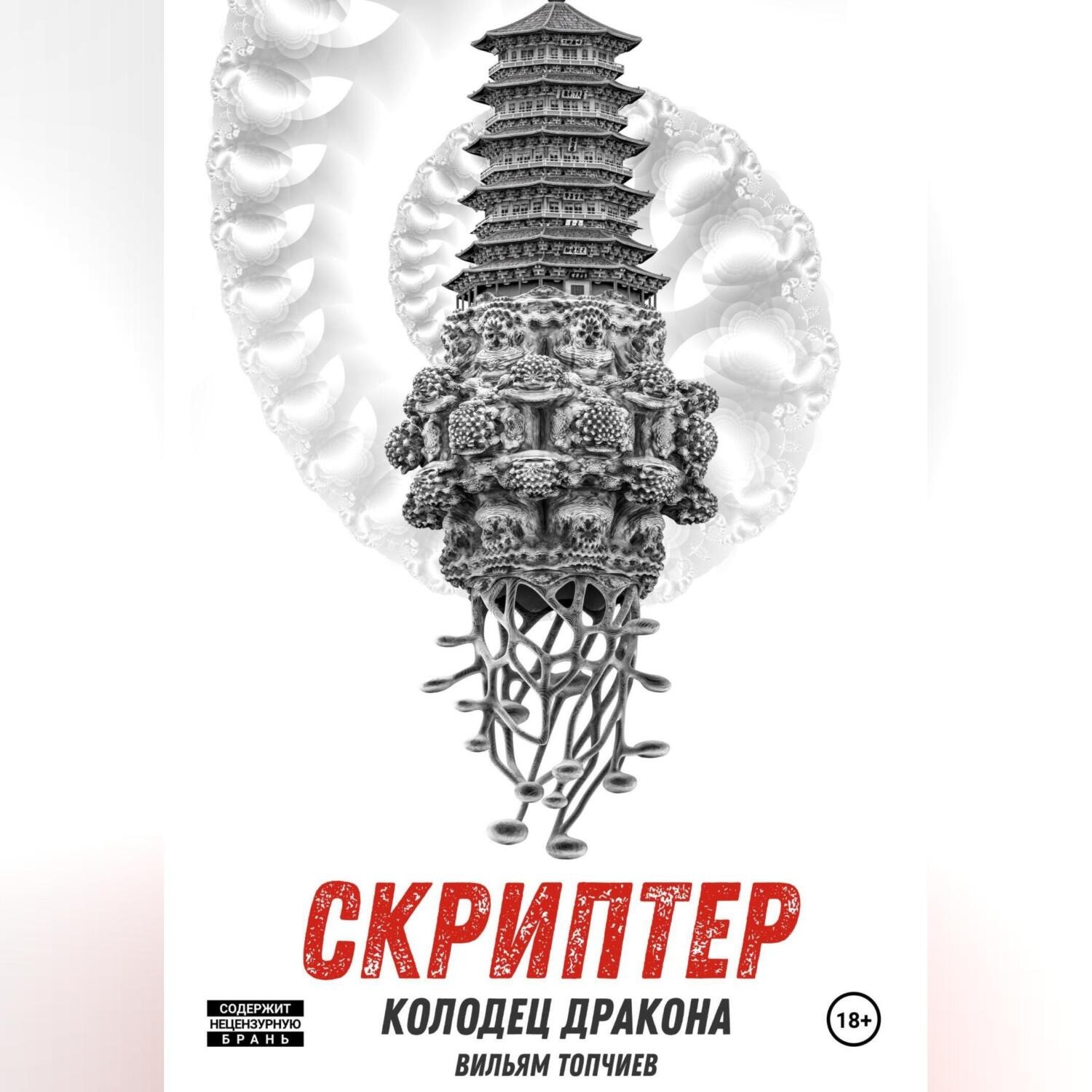 Обложка книги «Скриптер. Колодец Дракона»