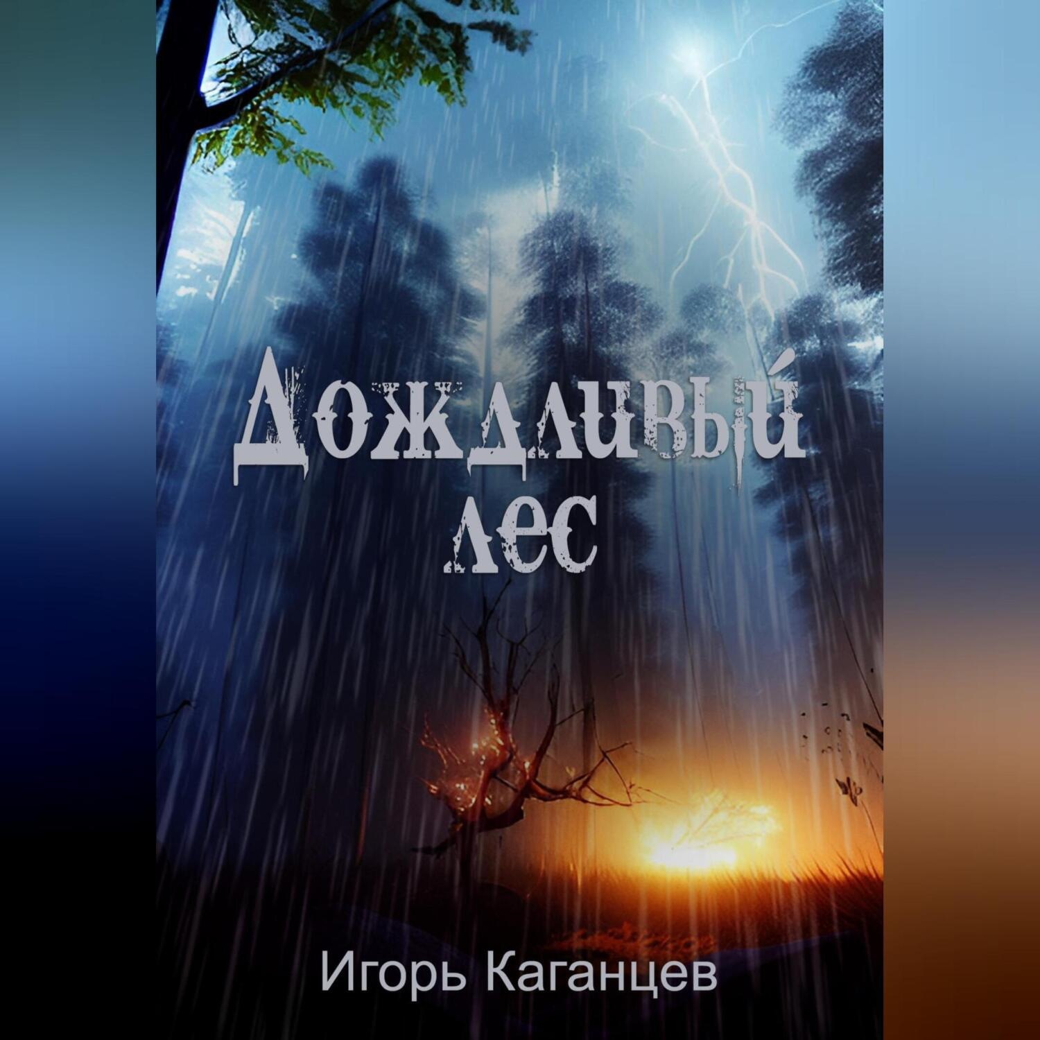 Обложка книги «Дождливый лес»