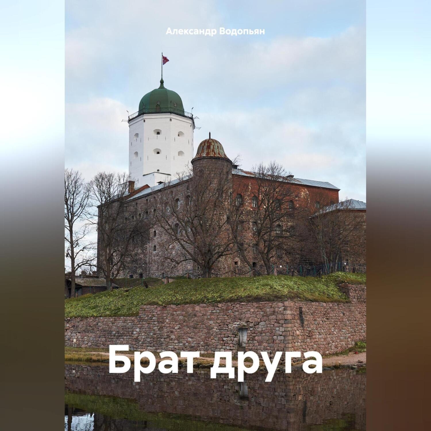 Обложка книги «Брат друга»