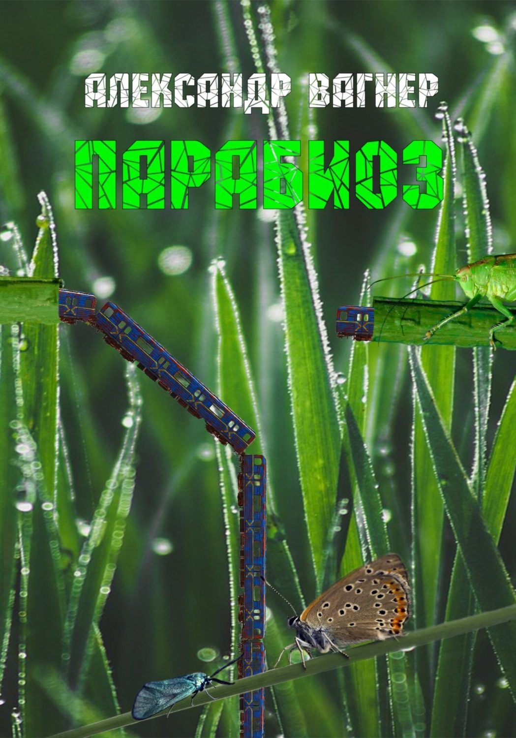 Обложка книги «Парабиоз»