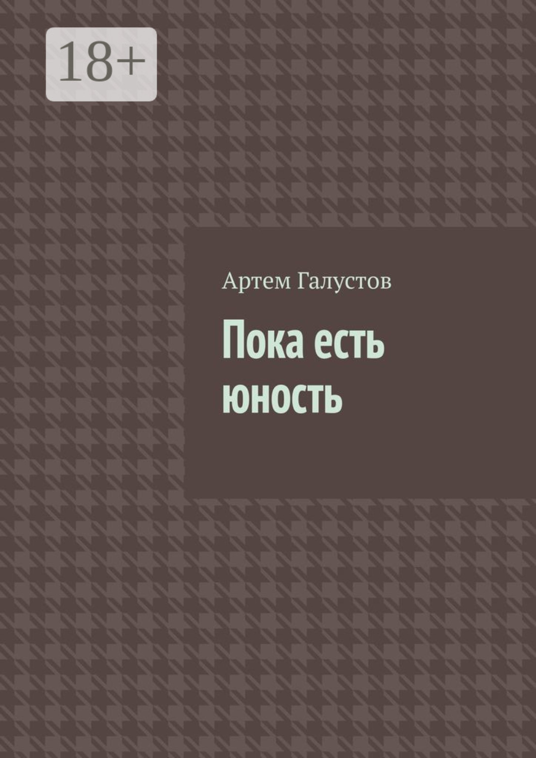 Обложка книги «Пока есть юность»