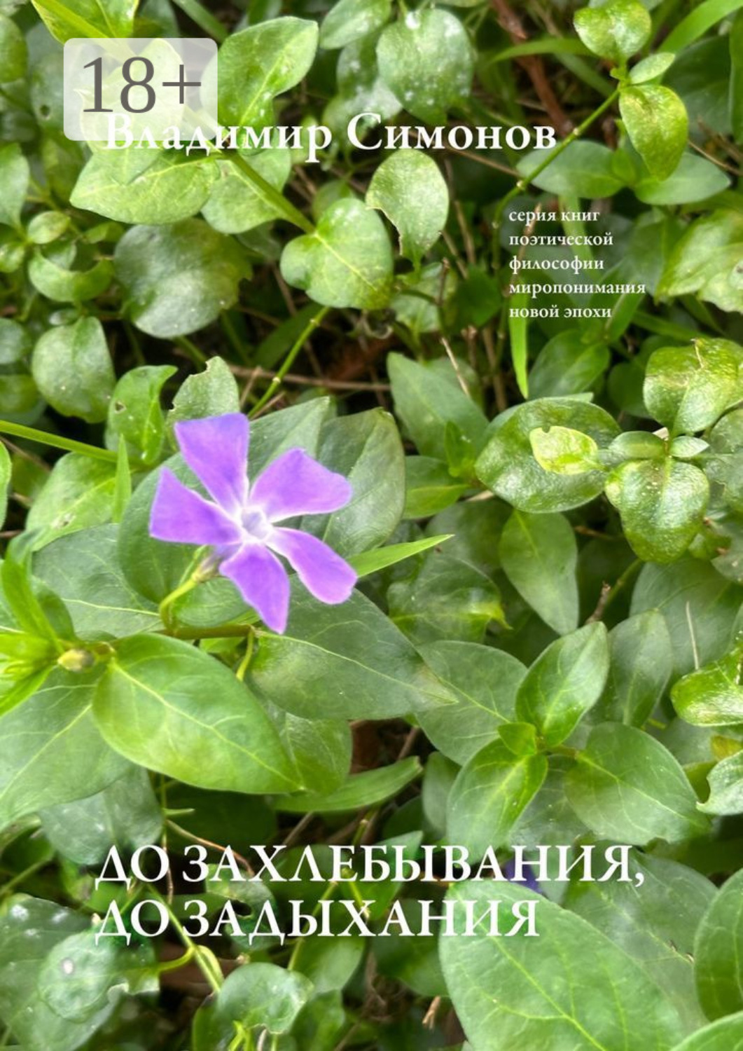 Обложка книги «До захлебывания, до задыхания. Серия книг поэтической философии миропонимания новой эпохи»