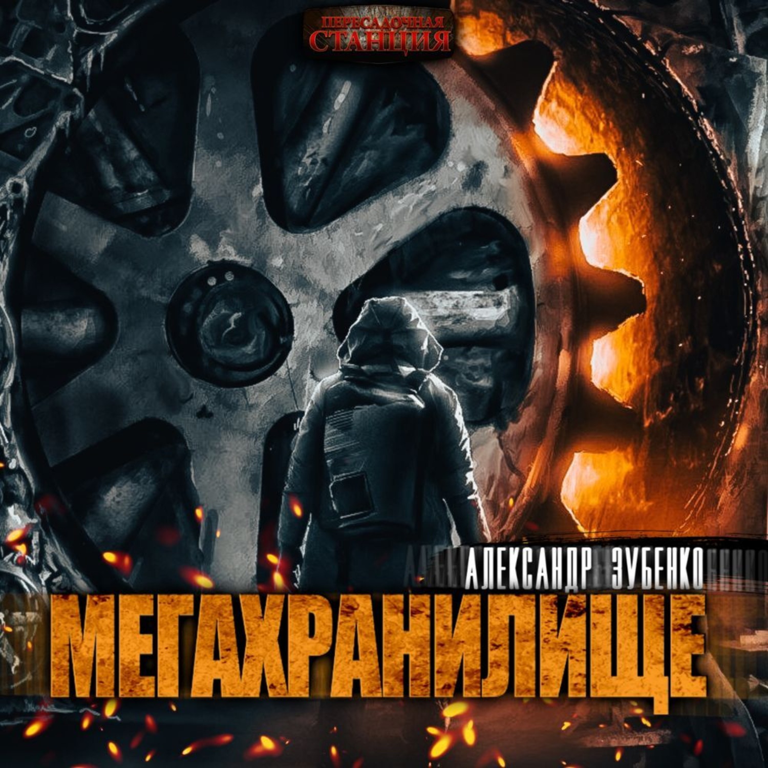 Обложка книги «Мегахранилище»