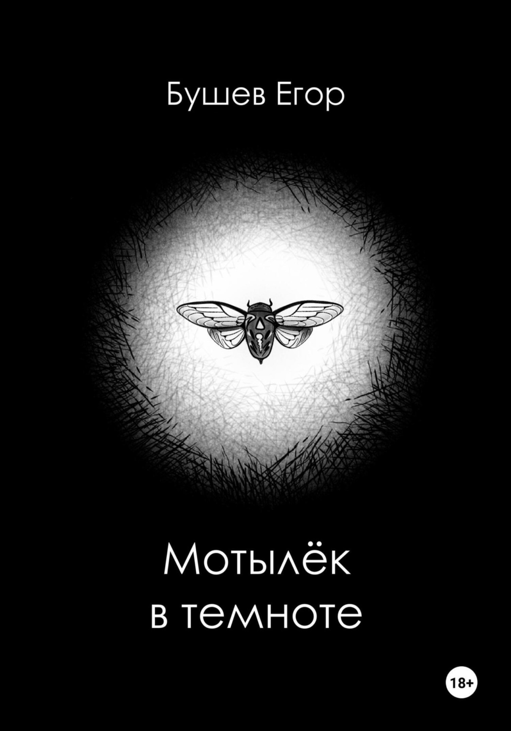 Обложка книги «Мотылёк в темноте»