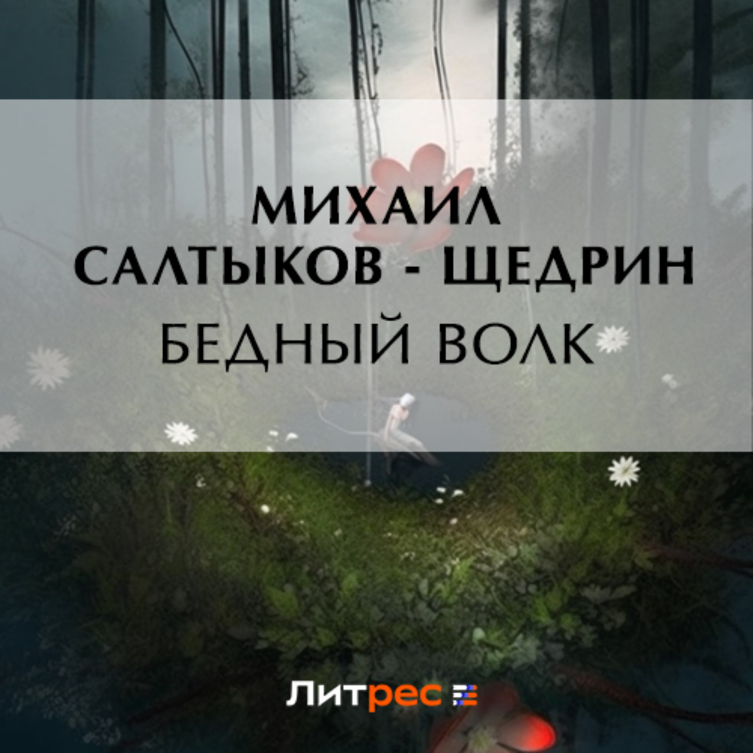 Обложка книги «Бедный волк»