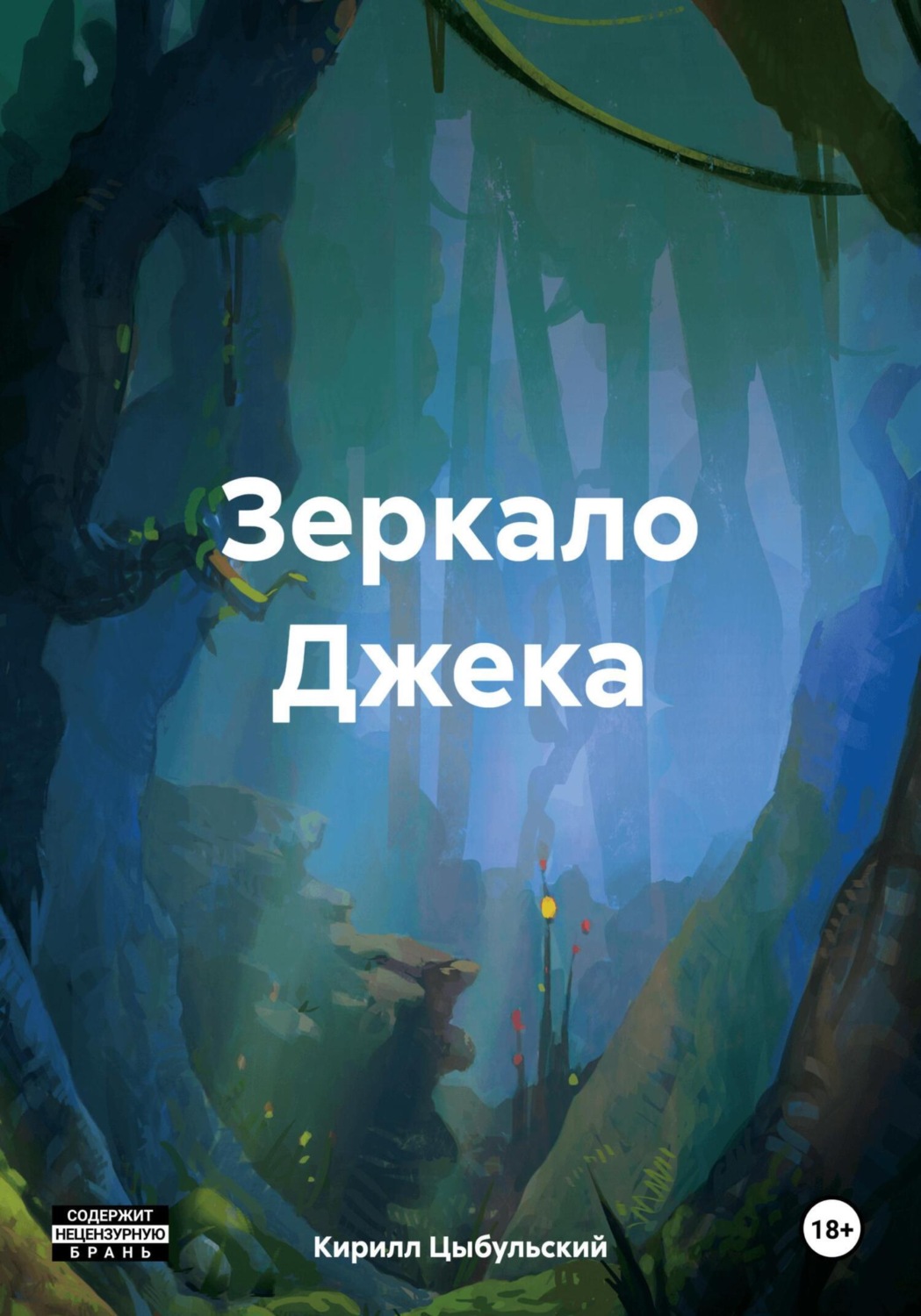 Обложка книги «Зеркало Джека»