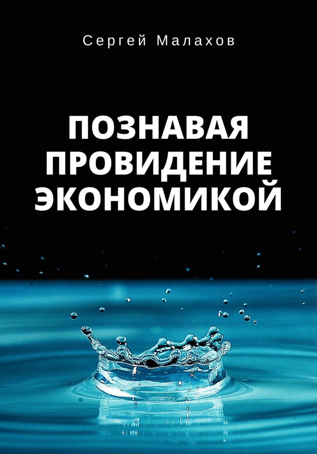 Обложка книги «Познавая Провидение Экономикой»