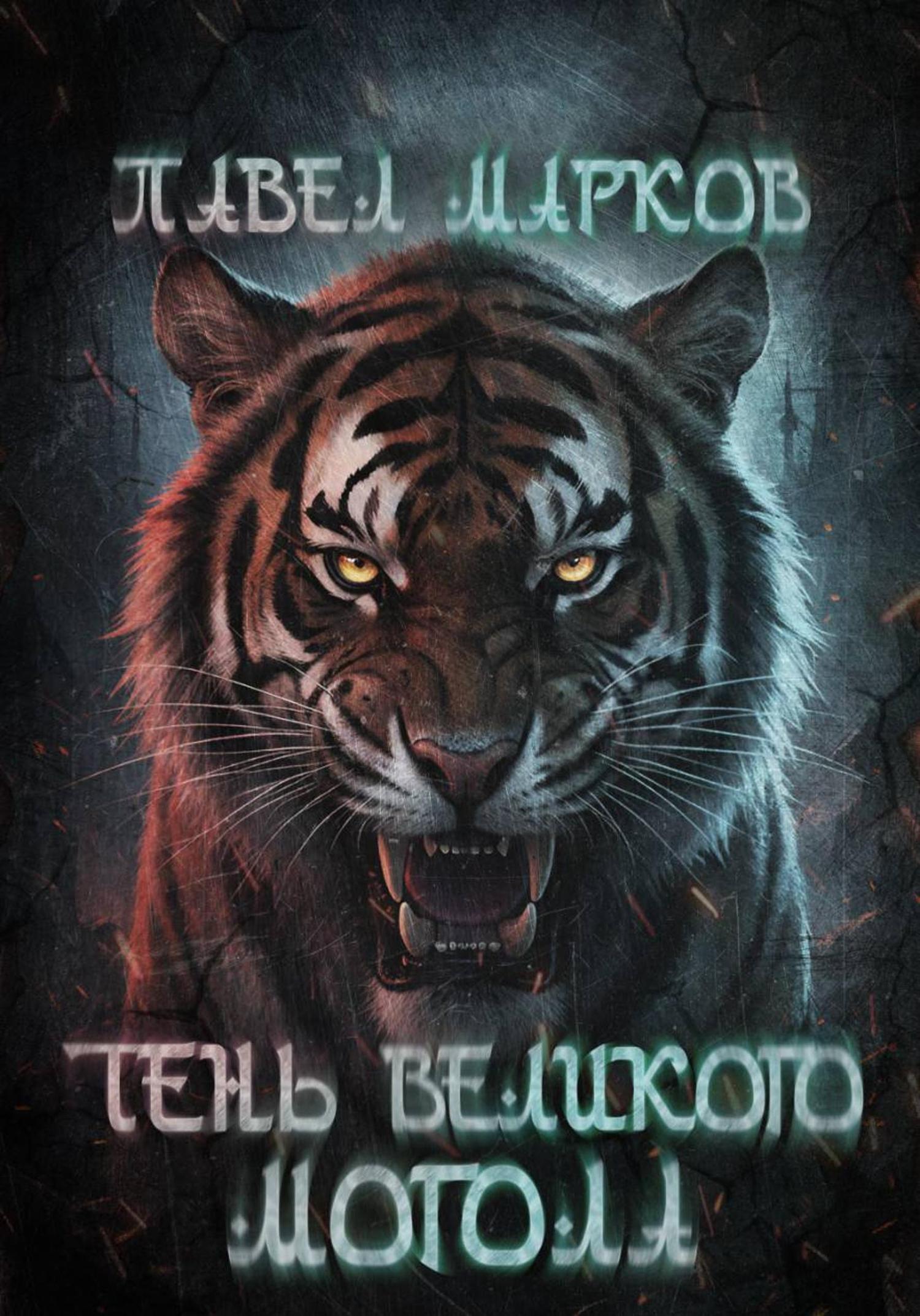 Обложка книги «Тень Великого могола»