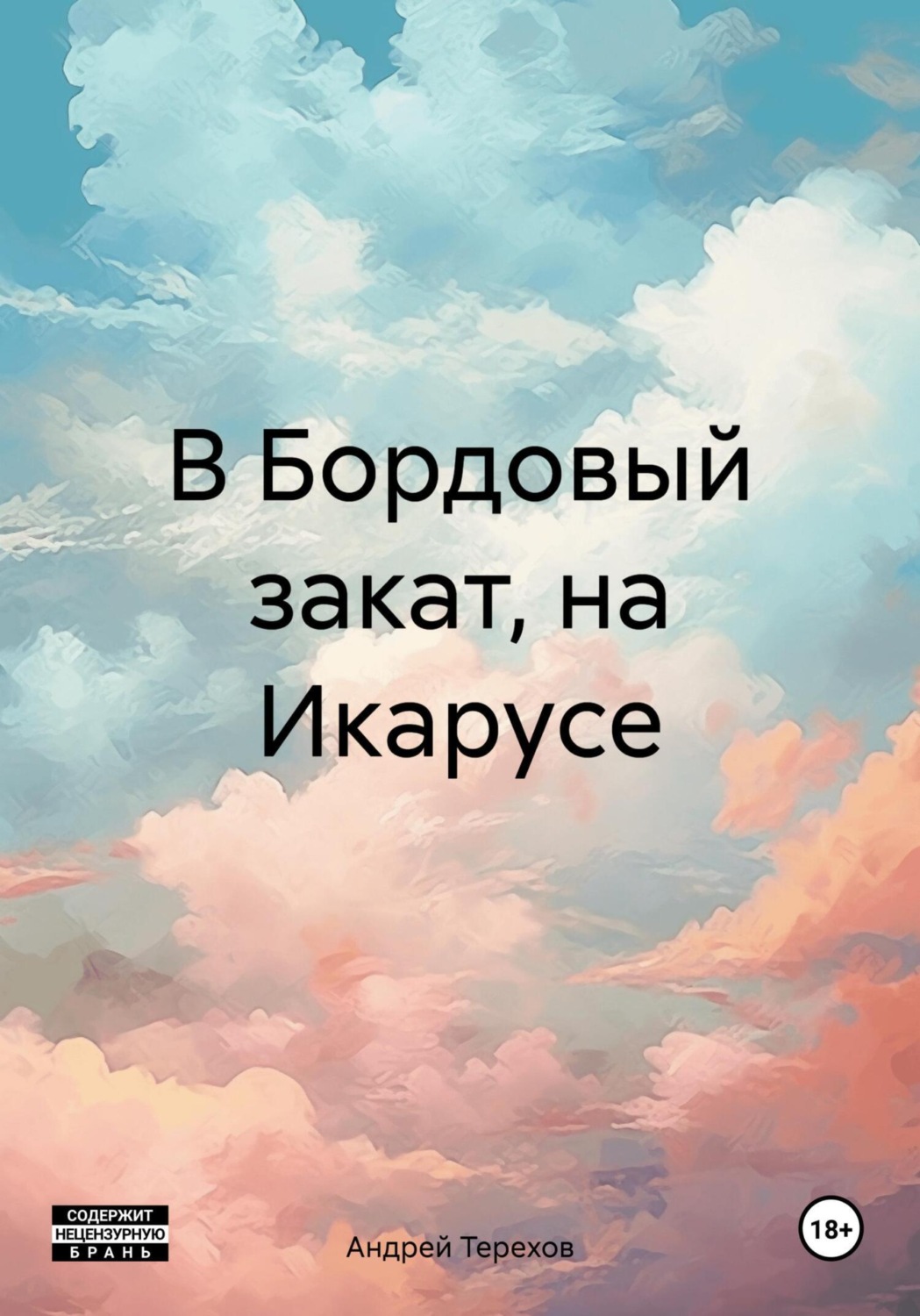 Обложка книги «В Бордовый закат, на Икарусе»