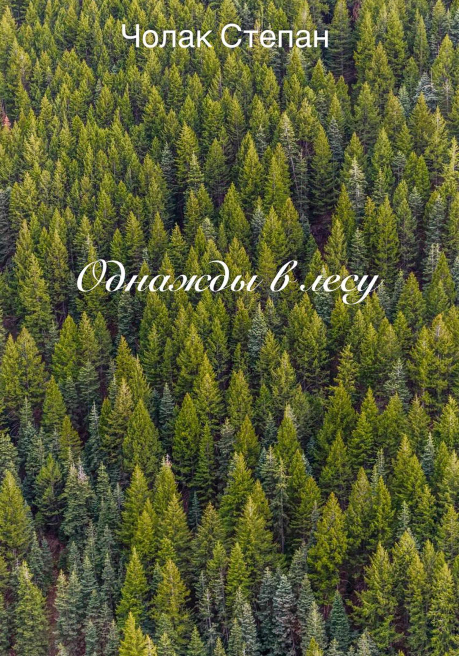 Обложка книги «Однажды в лесу»