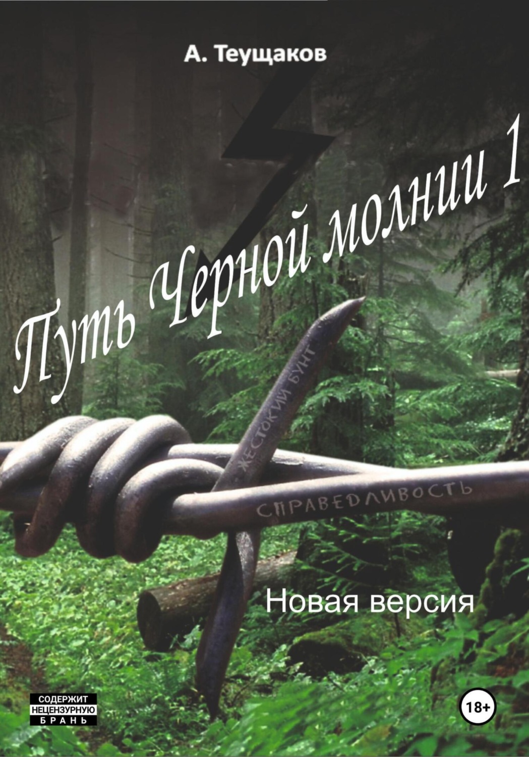 Обложка книги «Путь Черной молнии 1. Новая версия»