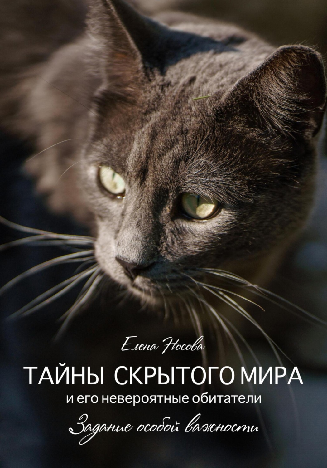Обложка книги «Тайны скрытого мира и его невероятные обитатели. Задание особой важности»
