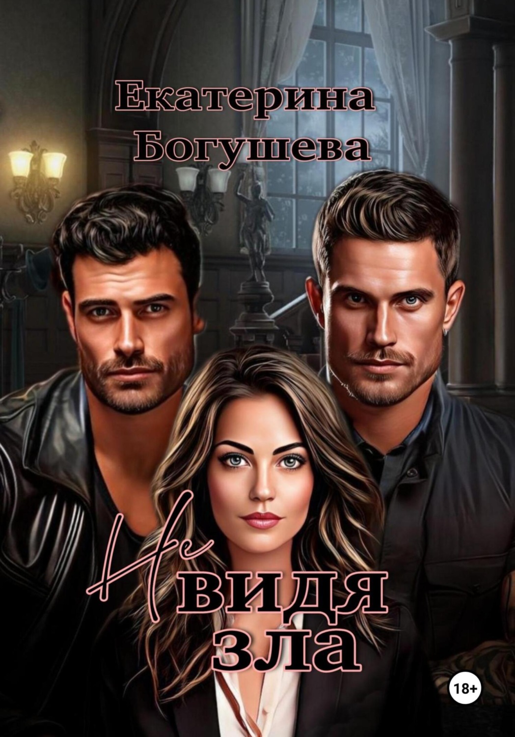 Обложка книги «Не видя зла»