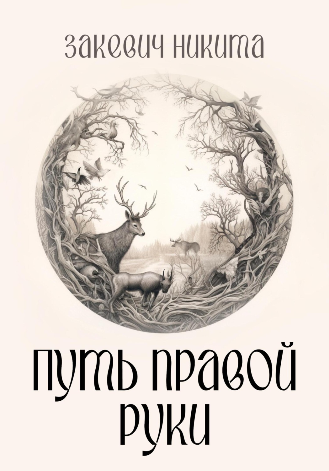 Обложка книги «Путь правой руки»