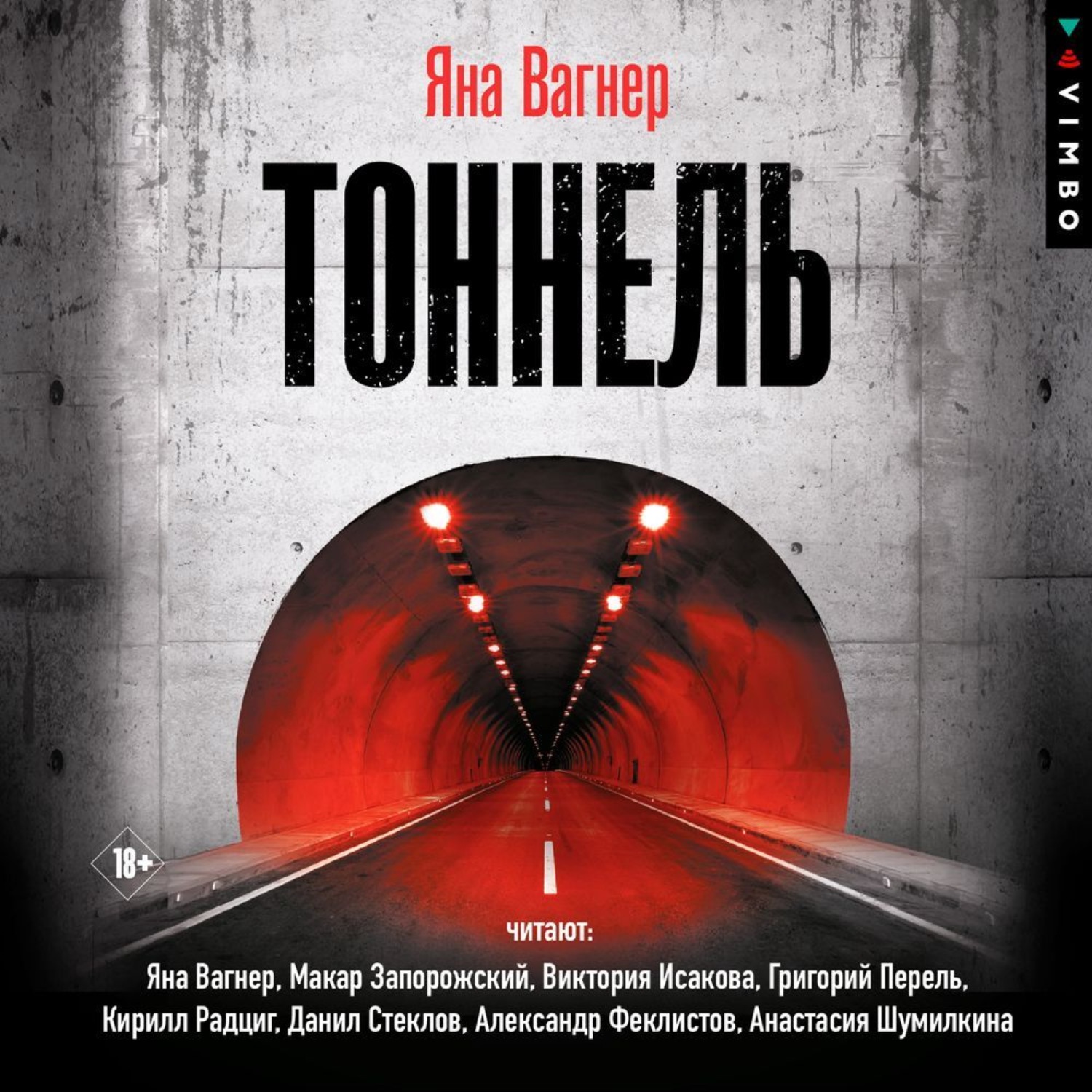 Обложка книги «Тоннель»