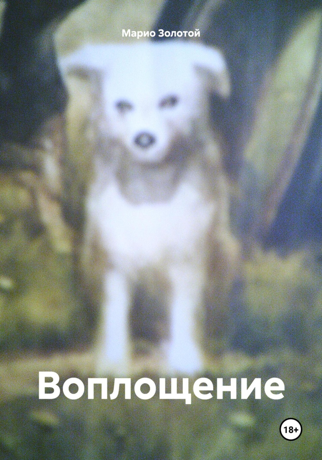 Обложка книги «Воплощение»