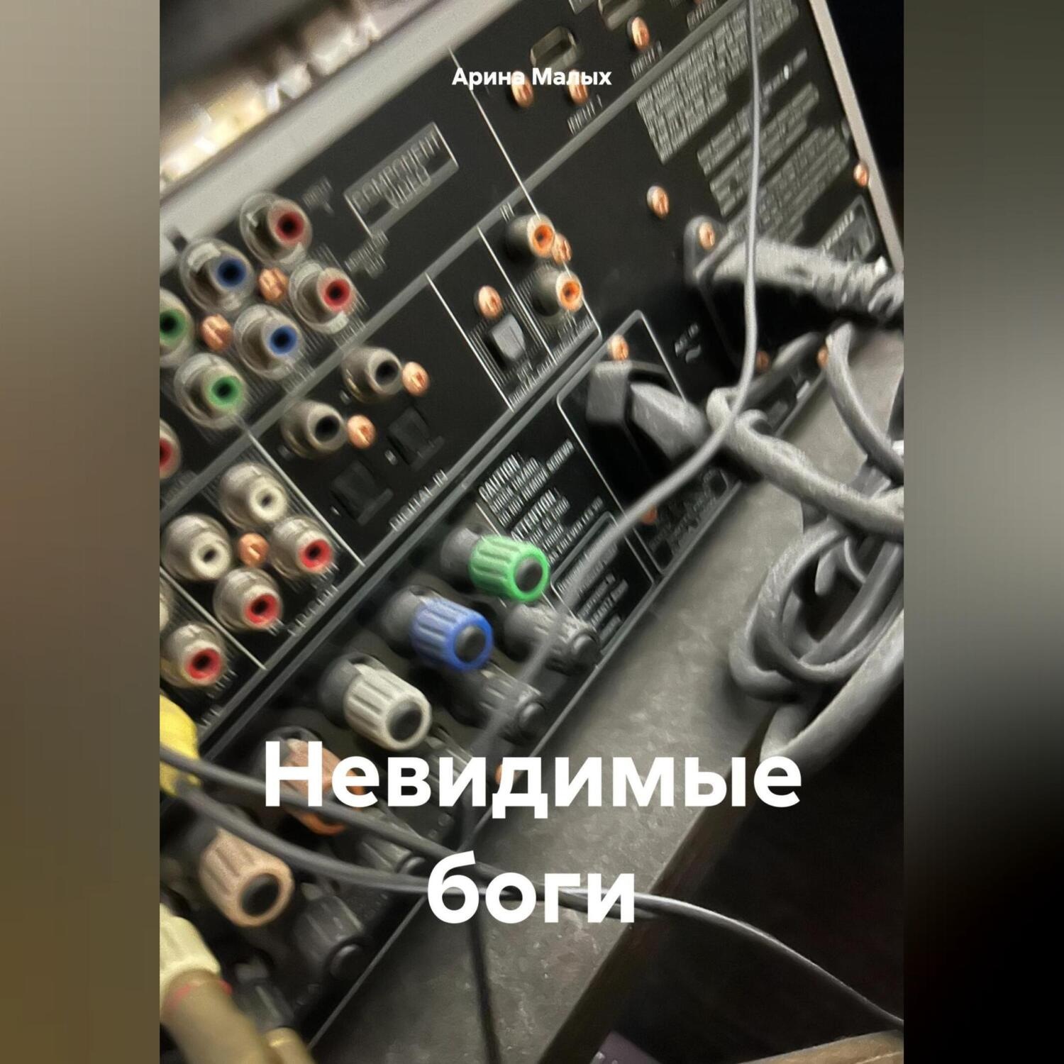 Обложка книги «Невидимые боги»