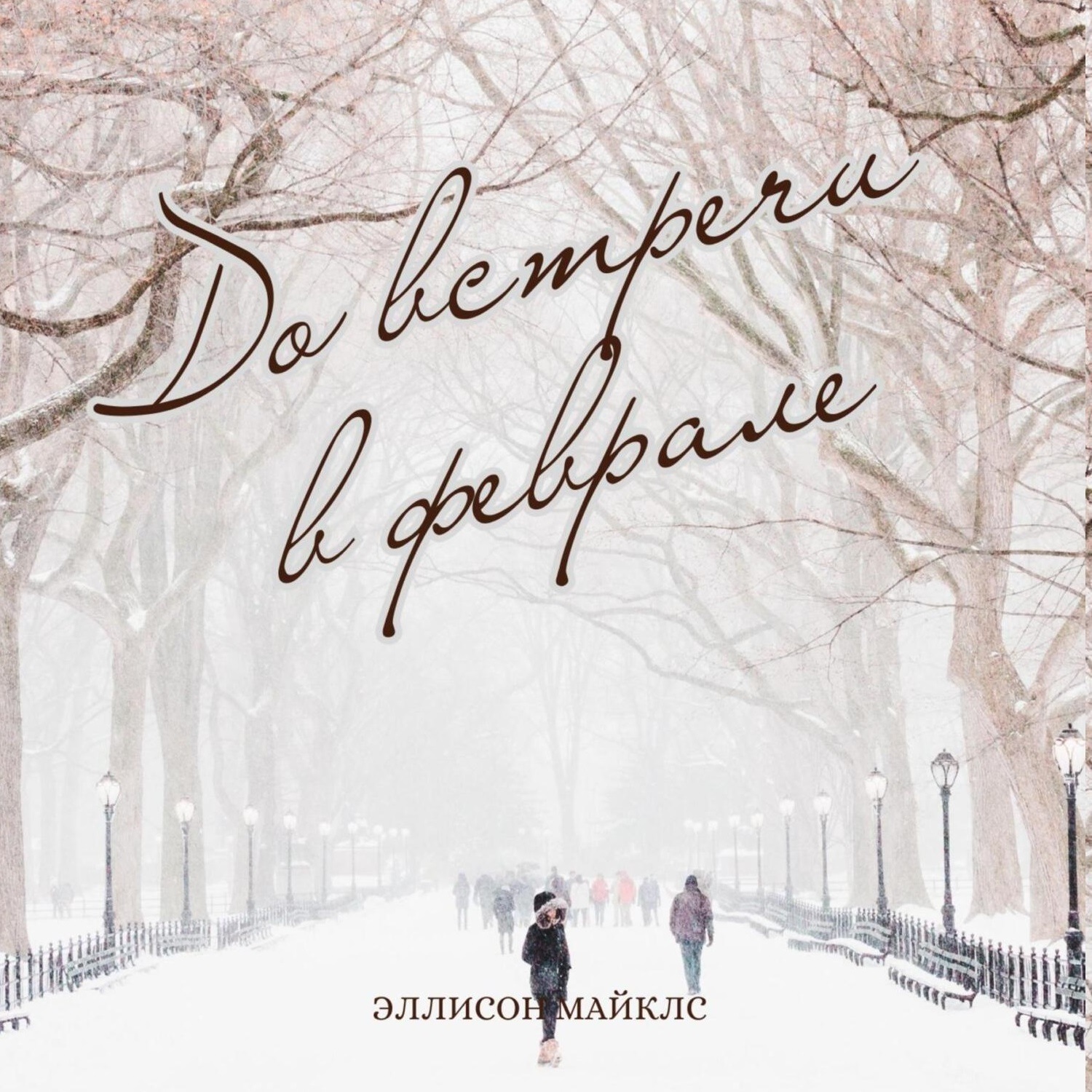 Обложка книги «До встречи в феврале»