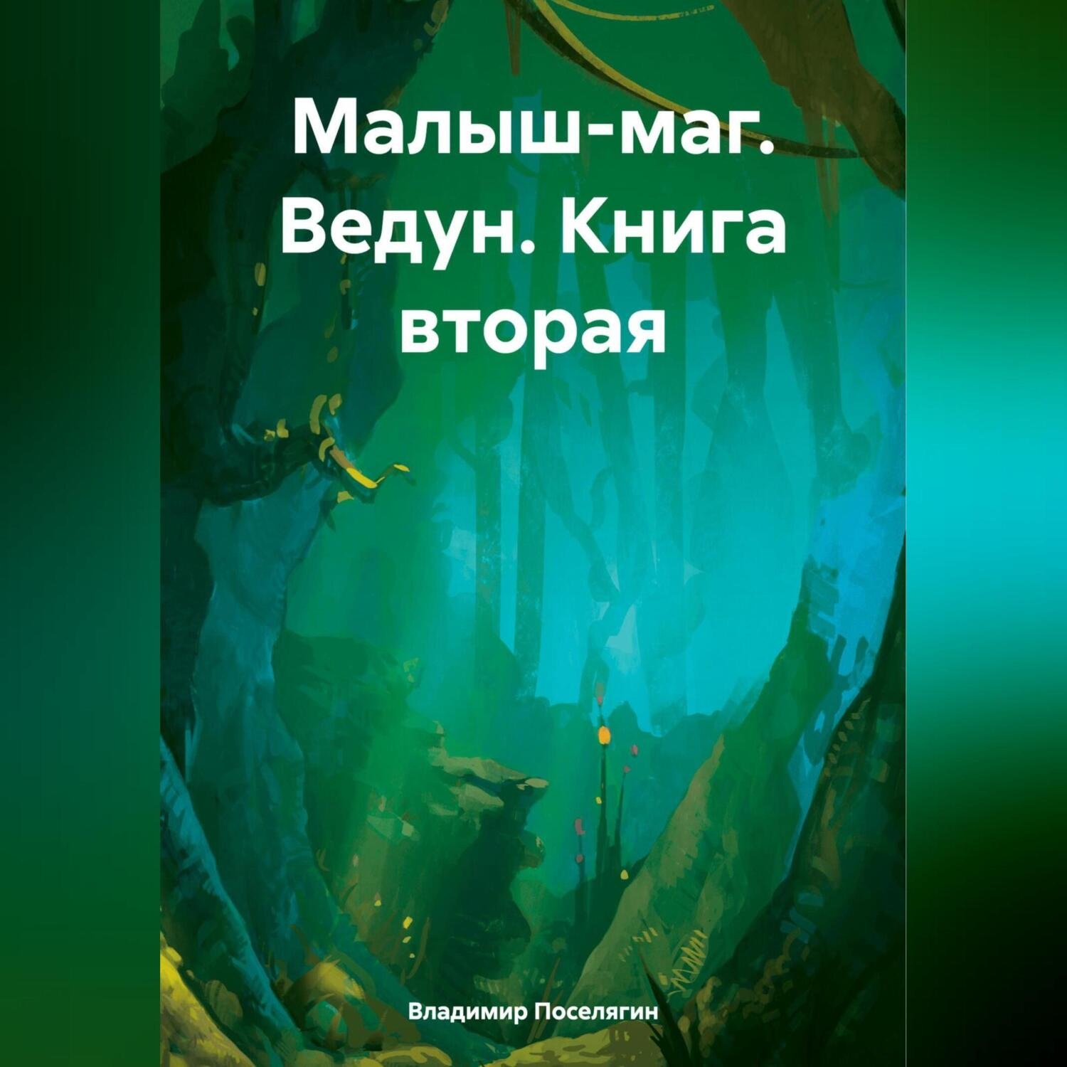 Обложка книги «Малыш-маг. Ведун. Книга вторая»