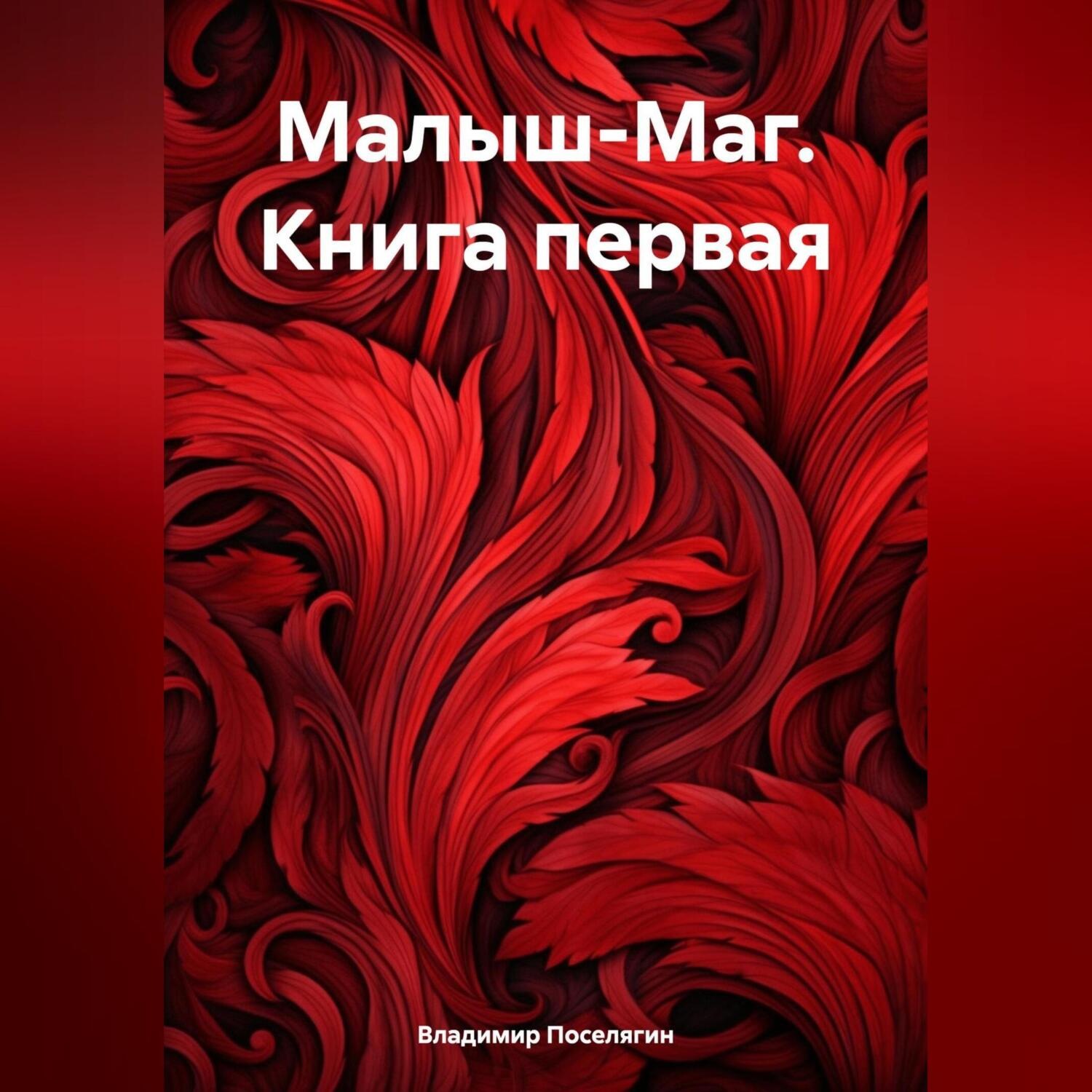 Обложка книги «Малыш-Маг. Книга первая»