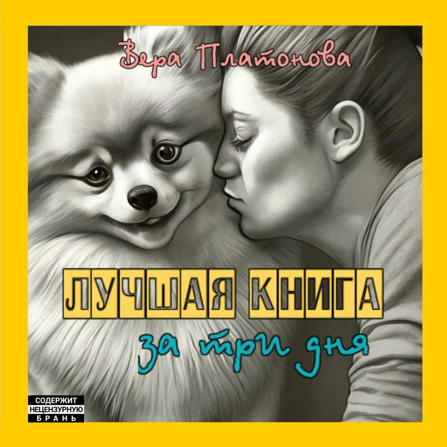 Обложка книги «Лучшая книга за три дня»