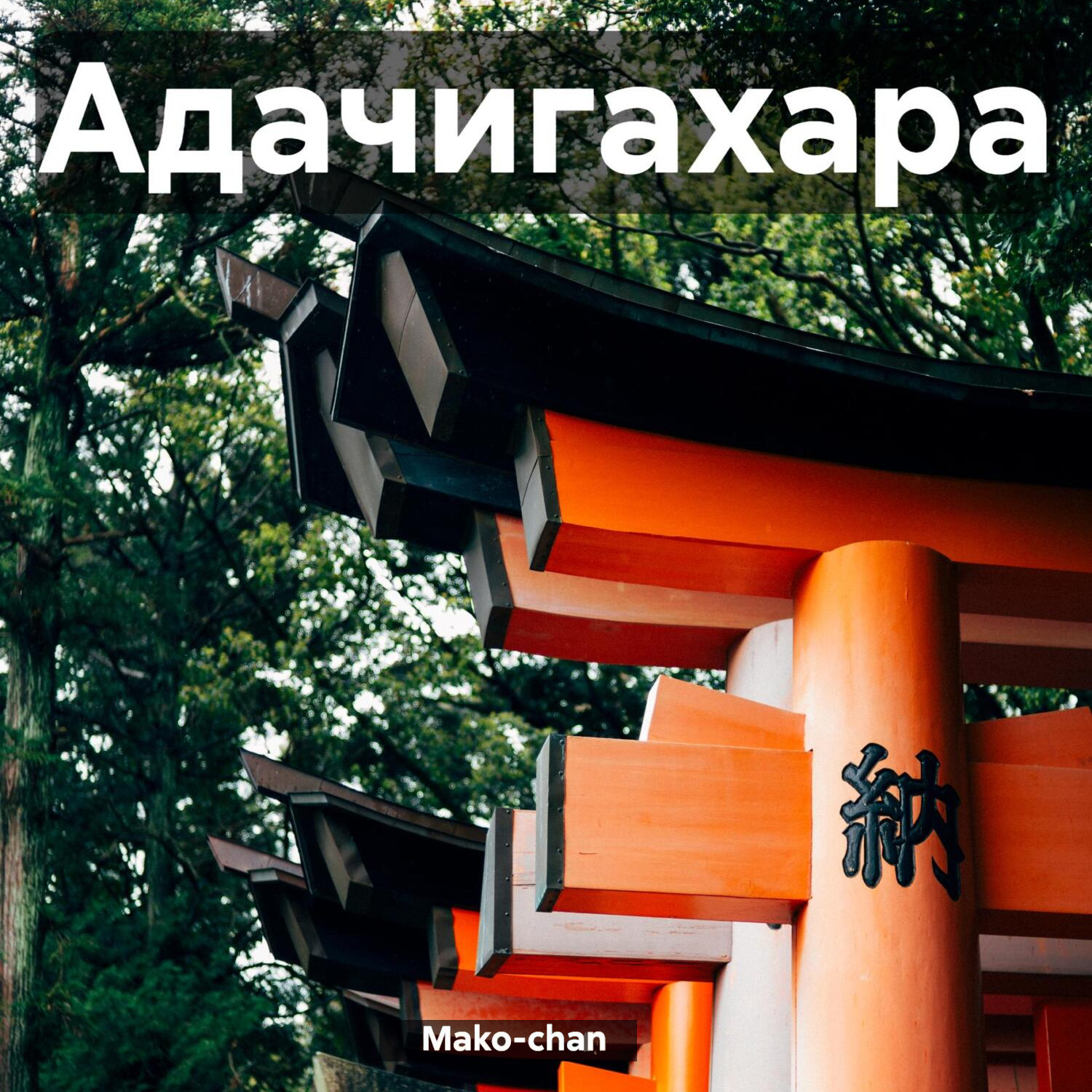 Обложка книги «Адачигахара»