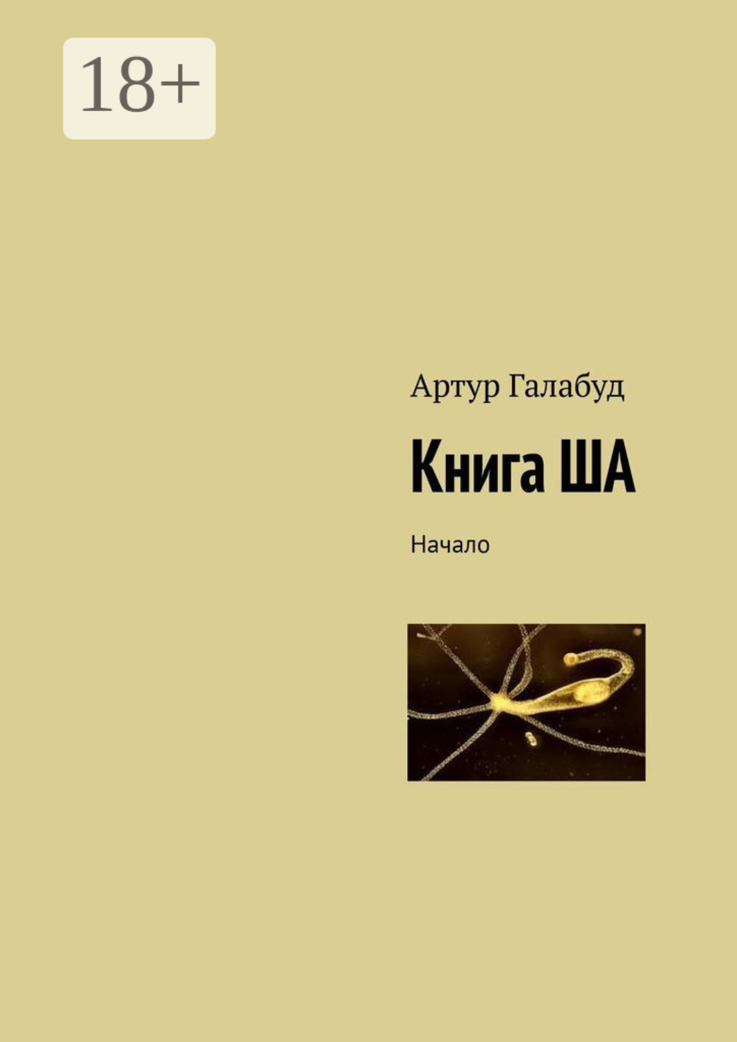 Обложка книги «Книга ША. Начало»