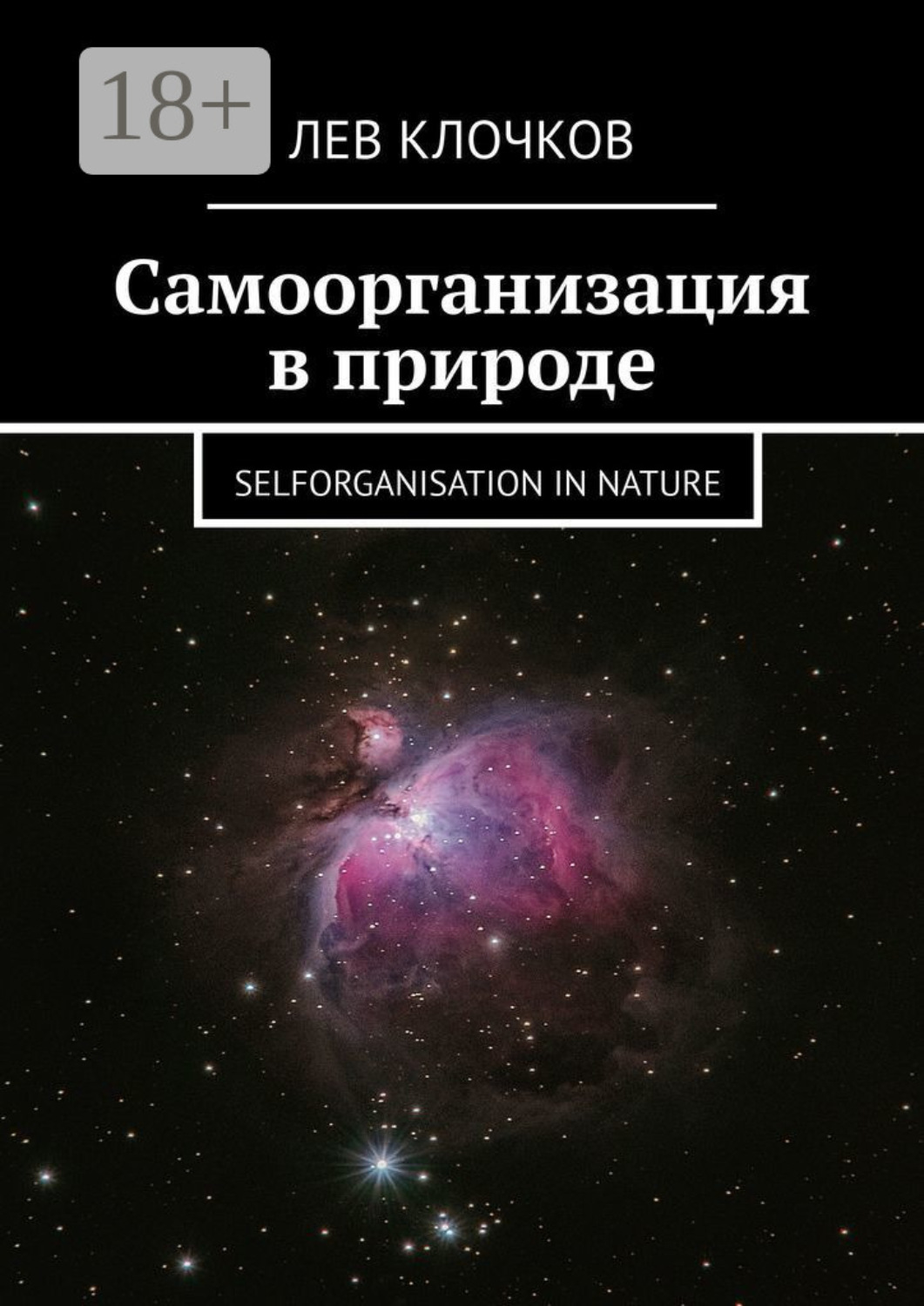 Обложка книги «Самоорганизация в природе. Selforganisation in Nature»