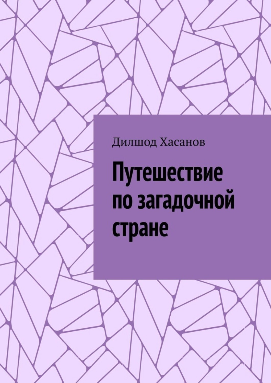 Обложка книги «Путешествие по загадочной стране»