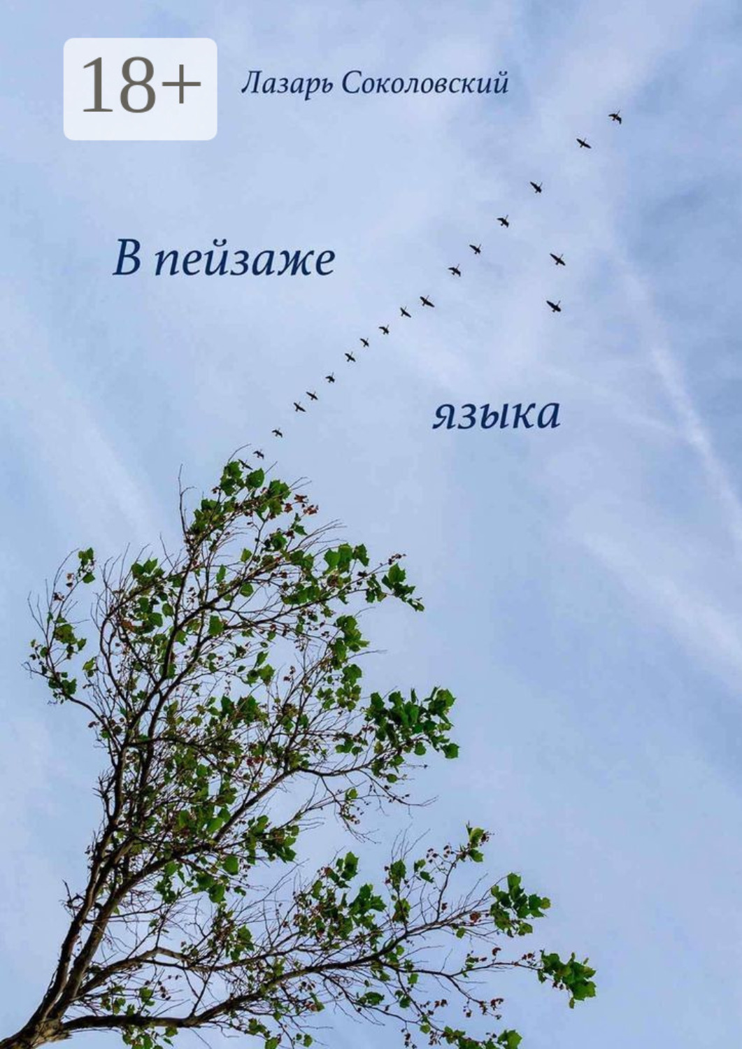 Обложка книги «В пейзаже языка»
