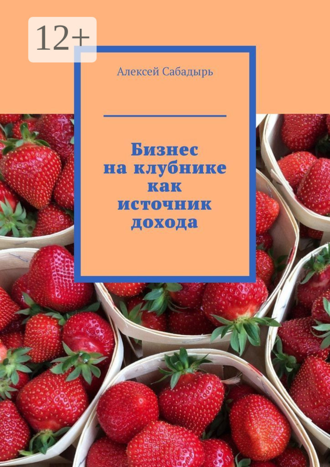 Обложка книги «Бизнес на клубнике как источник дохода»