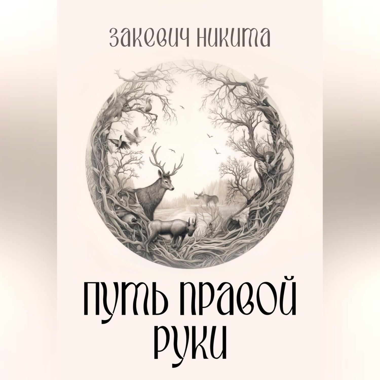 Обложка книги «Путь правой руки»