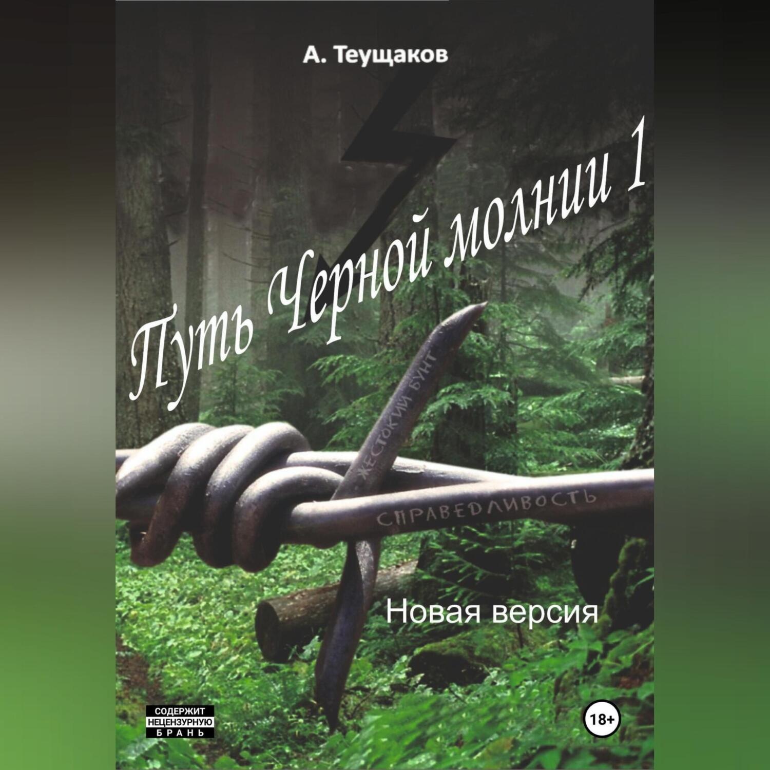 Обложка книги «Путь Черной молнии 1. Новая версия»