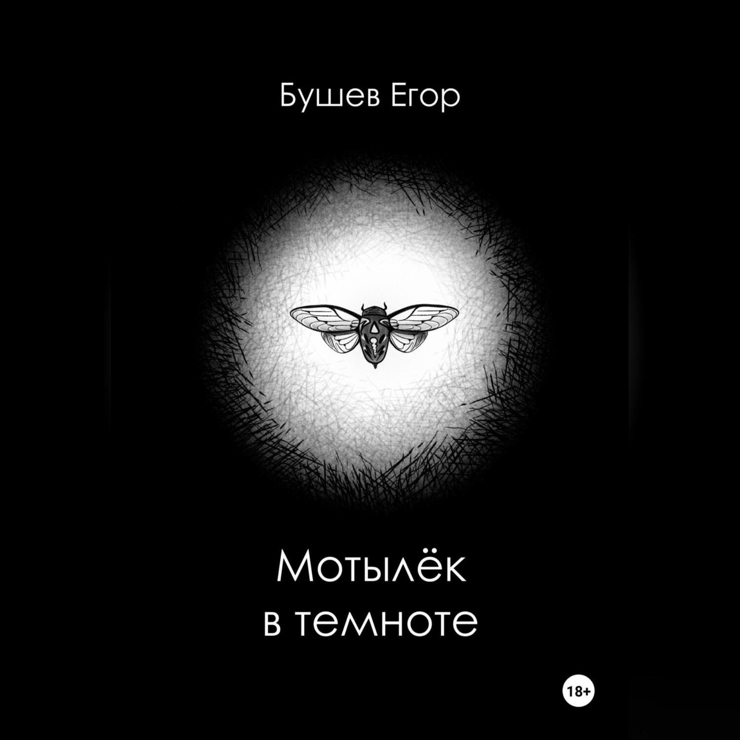 Обложка книги «Мотылёк в темноте»
