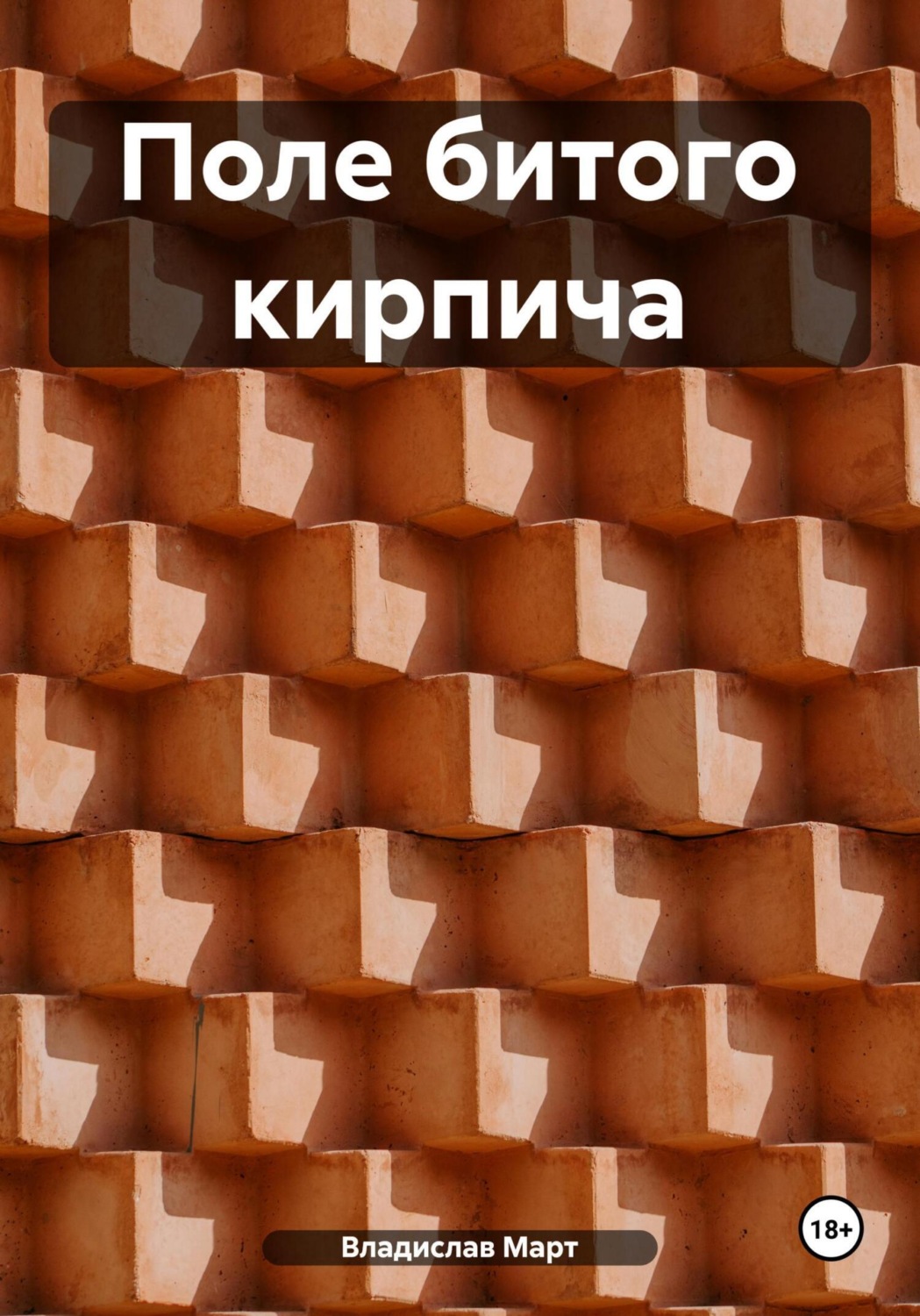 Обложка книги «Поле битого кирпича»